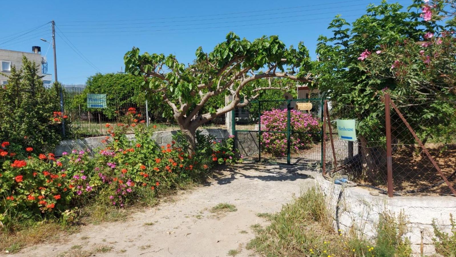 Agritourism Cottage Near Sitia Buitenkant foto